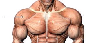 Dov'è la migliore massimo spattini steroidi?