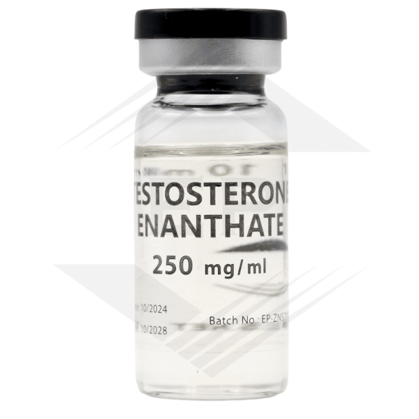 Testostérone Enanthate 250mg/ml - 10ml - Euro Pharmacies