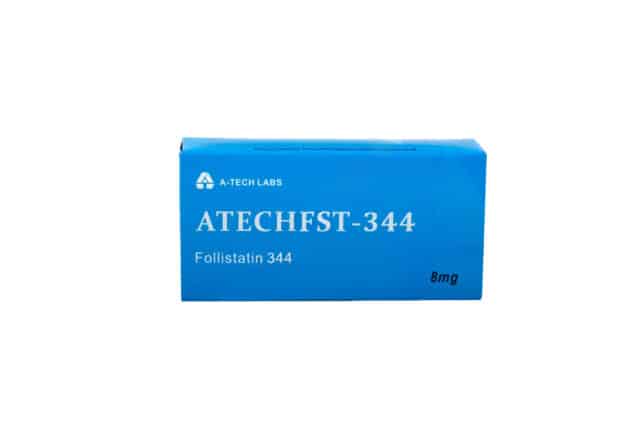 ATECH FST344 à l'échelle