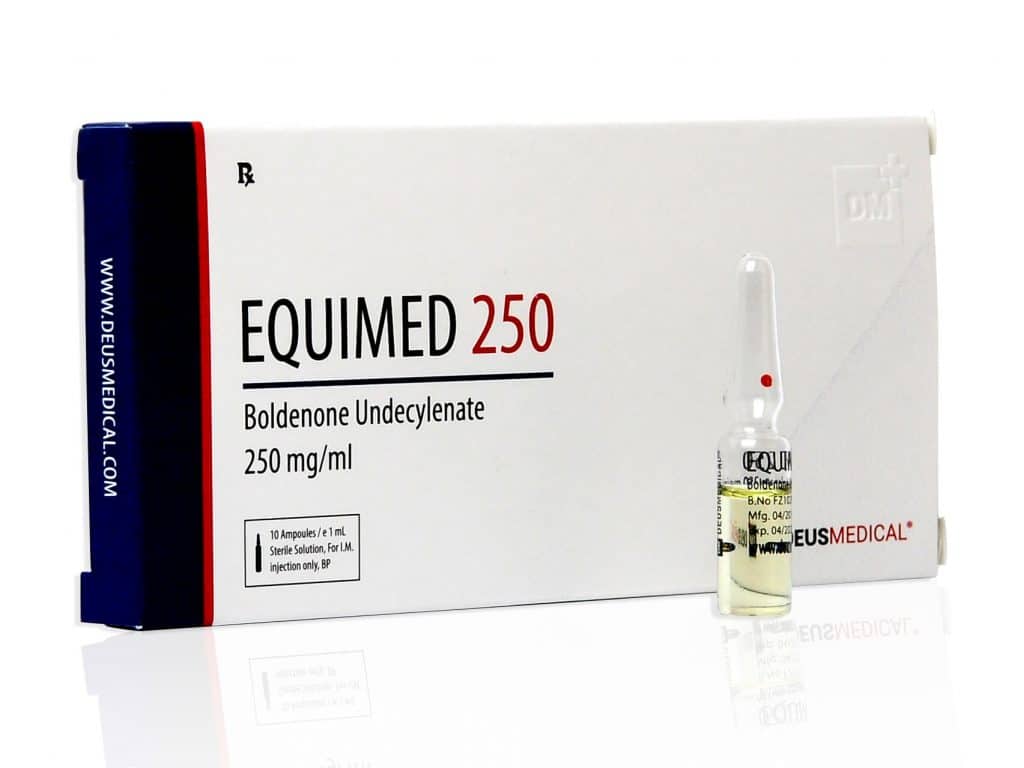 DEUSMEDICAL EQUIMED 250 フロント+AMP フロント