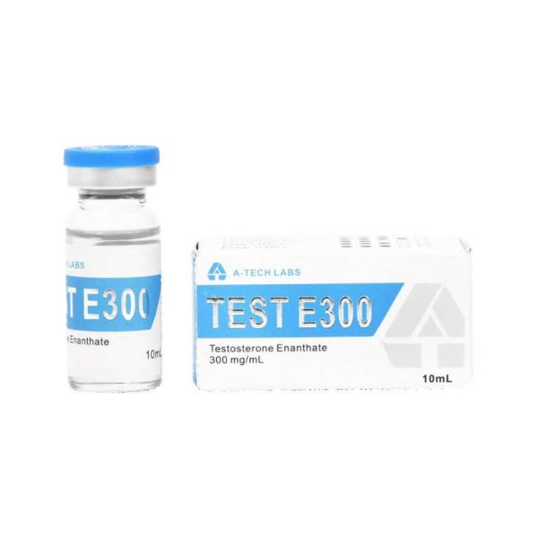 TESTE300 テックラボ