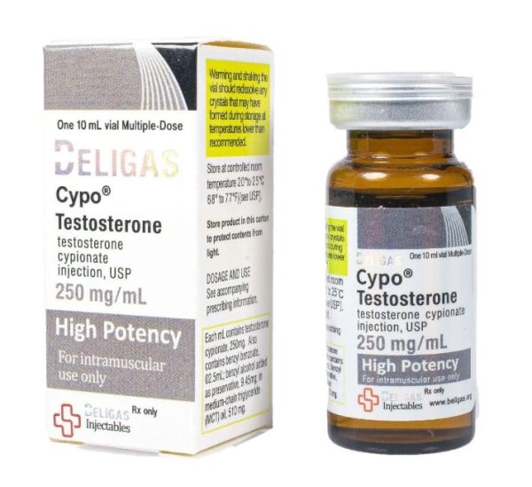 Cypo Test 250 Beligas スケール 1